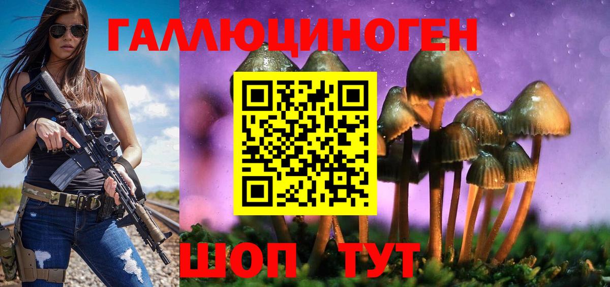 Псилоцибиновые грибы GOLDEN TEACHER  купить наркотики цена  Ставрополь  Вход с VPN  Псилоцибиновые грибы GOLDEN TEACHER 